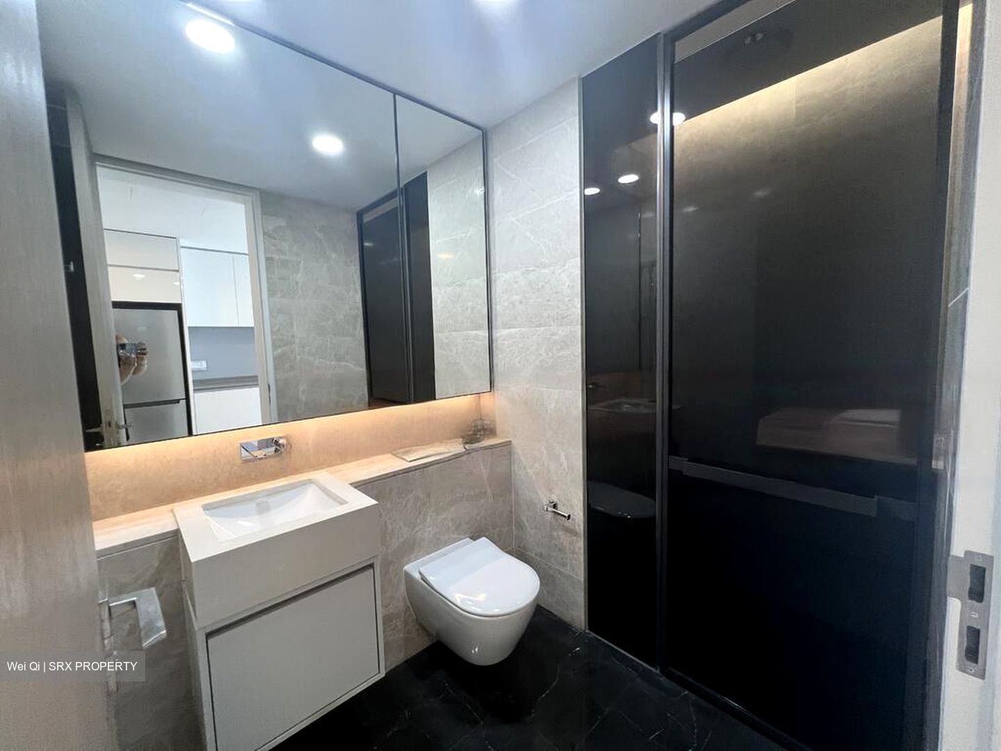 Amber Park (D15), Condominium #462869451